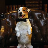 Foto de 'Pancho'
