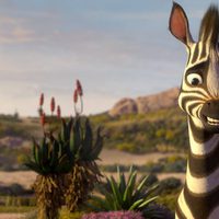 Foto de 'Khumba: A Zebra's Tale'