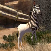Foto de 'Khumba: A Zebra's Tale'