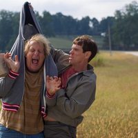 Foto de 'Dumb and dumber To'