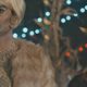 Imagen de Bill Hader