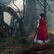 Imagen de la película Into the Woods