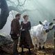 Imagen de la película Into the Woods