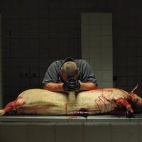 Foto de 'Redirected'