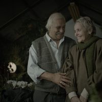 La fiesta de despedida