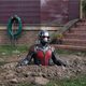 Imagen de la película Ant-Man