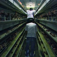 Foto de 'Our Daily Bread'