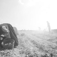 Foto de 'Home From Home: Chronicle Of A Vision'