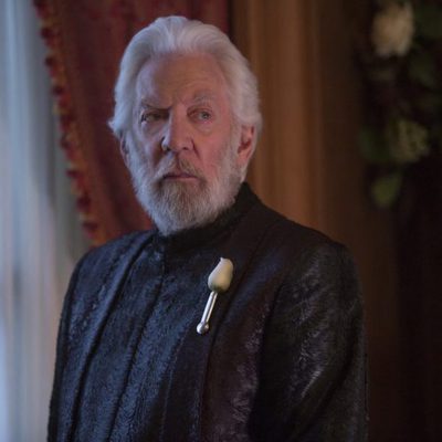 The Hunger Games: Mockingjay - Part 2