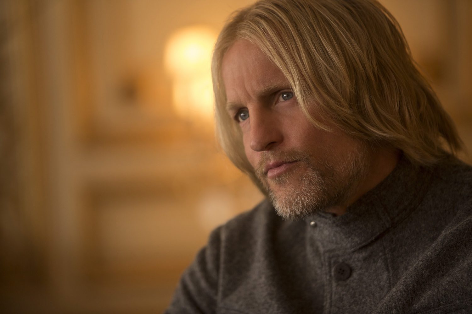 Imagen de la película The Hunger Games: Mockingjay - Part 2