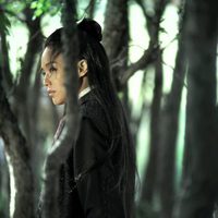 Foto de 'The Assassin'