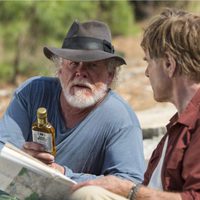 Un paseo por el bosque