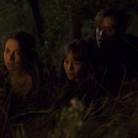 Foto de 'Summer Camp'
