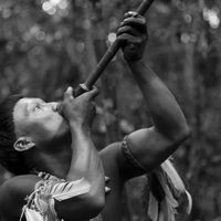 El abrazo de la serpiente