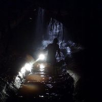 El territorio de la bestia