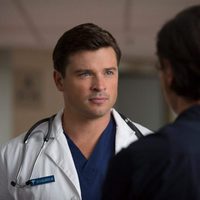 Foto de 'The Choice'