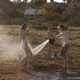 Imagen de la película Strangerland