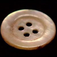 Foto de 'The Pearl Button'
