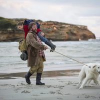 Odball and the Penguins