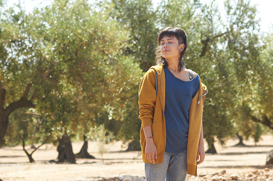 Imagen de la película The Olive Tree