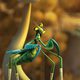 Imagen de la película Kung Fu Panda 3
