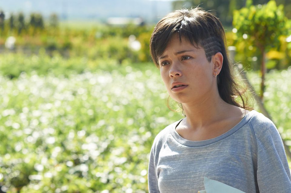 Imagen de la película The Olive Tree