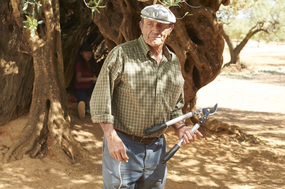 Imagen de la película The Olive Tree
