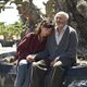Imagen de la película The Olive Tree