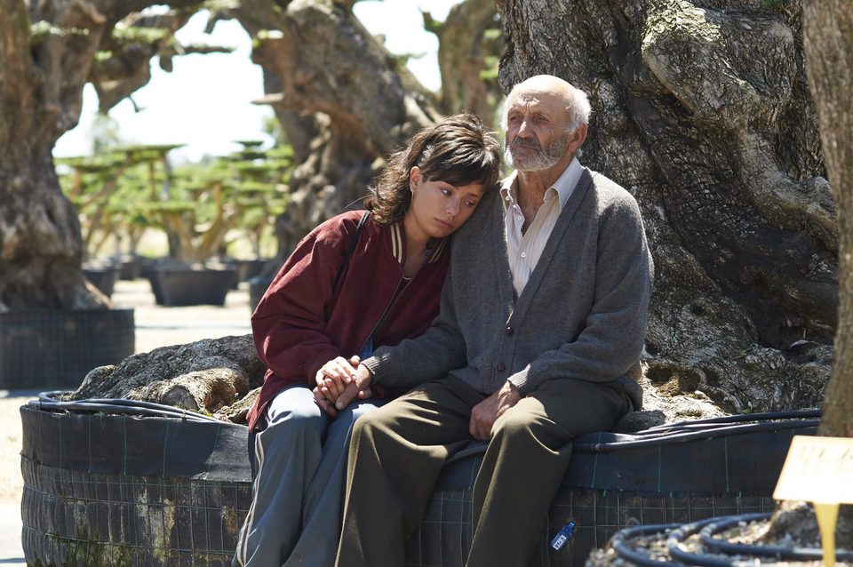 Imagen de la película The Olive Tree