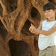 Imagen de la película The Olive Tree