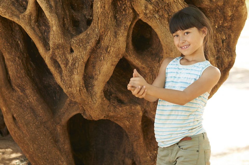 Imagen de la película The Olive Tree
