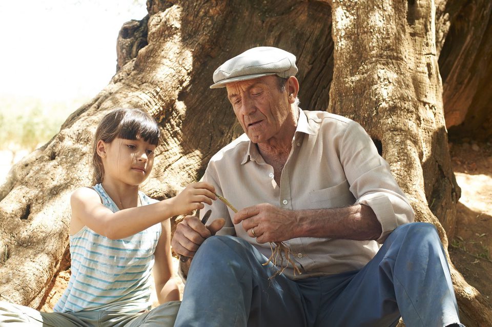 Imagen de la película The Olive Tree
