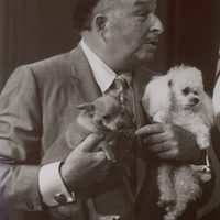 Sexo, maracas y chihuahuas