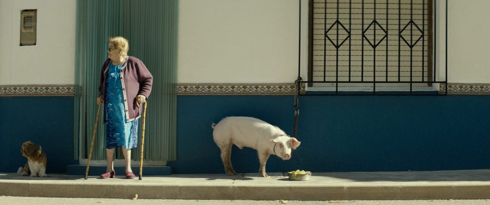 Imagen de la película Pozoamargo