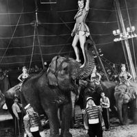 El mayor espectáculo del mundo 