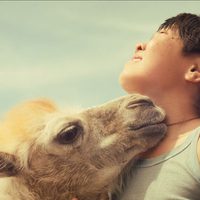 Foto de 'Celestial-Camel'