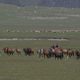 Imagen de la película Heavenly Nomadic