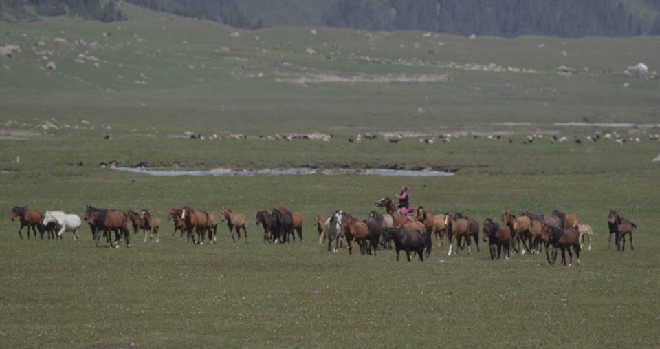 Imagen de la película Heavenly Nomadic