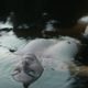 Imagen de la película Bridgend