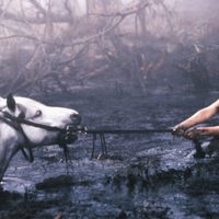 Foto de 'The Neverending Story'