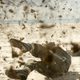Imagen de la película Land of Mine