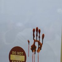 Foto de 'The Mist'