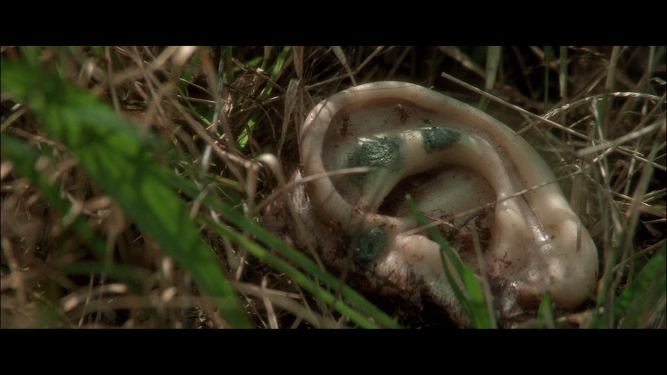 Imagen de la película Blue Velvet