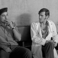 Foto de 'Letters from War'