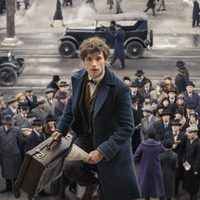 Animales Fantásticos Y Dónde Encontrarlos 