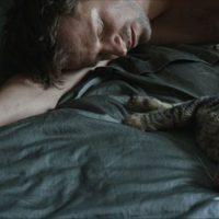 Foto de 'Tomcat'