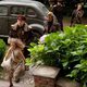 Imagen de la película Fly Away Home