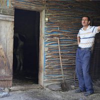 Foto de 'Holy Cow'