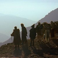 Foto de 'Mimosas'