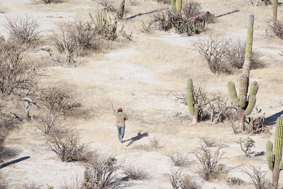 Imagen de la película Desierto